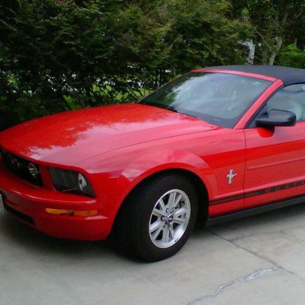 Meet your Posher, Helen